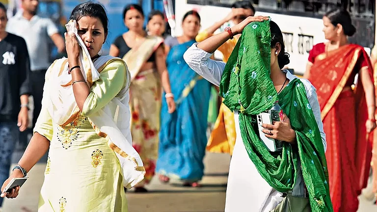 Heat Wave Fatigue: The prolonged heat wave in North India led to many deaths - null