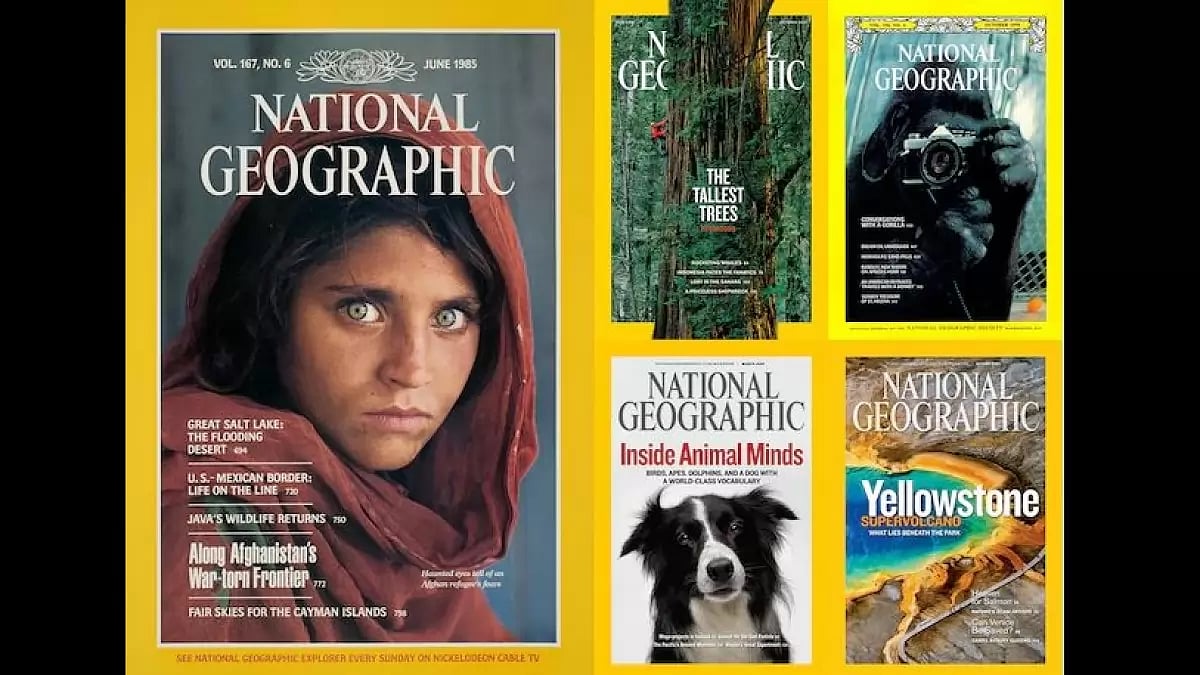 National Geographic magazine has published almost 1,500 covers over more than a century.