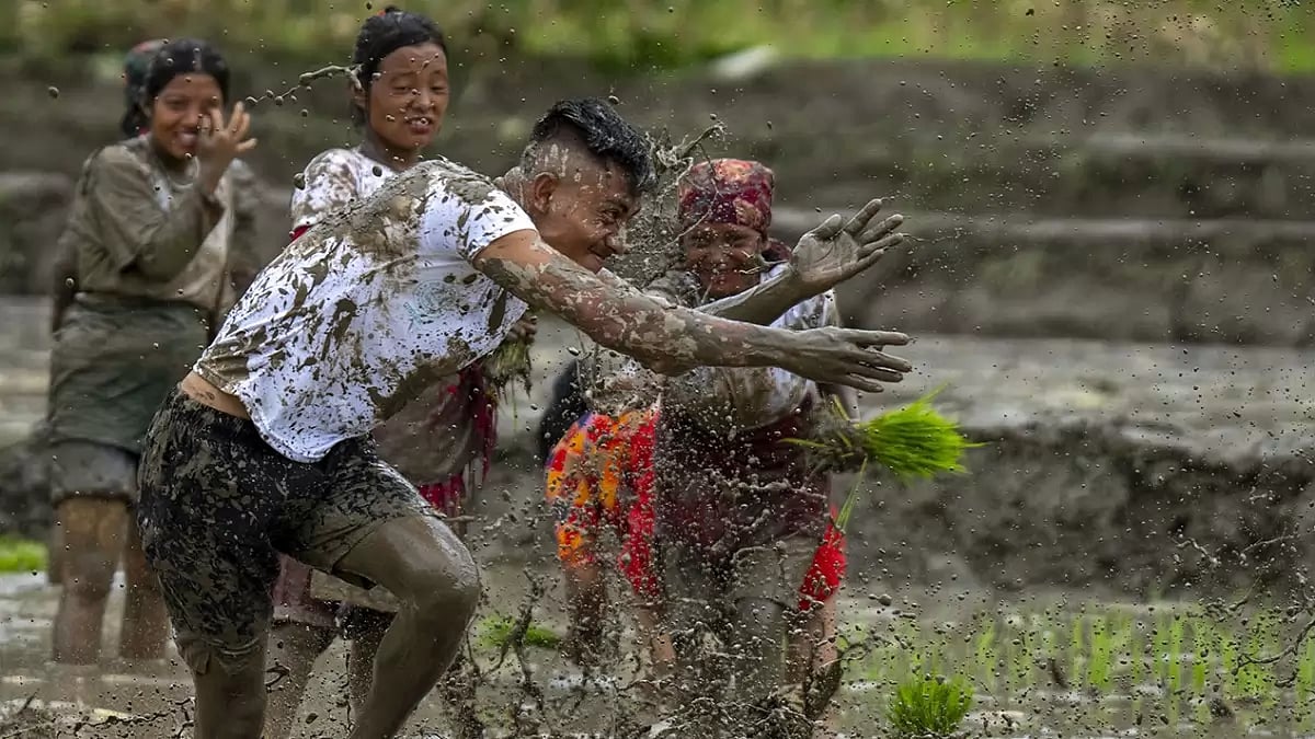 Nepal National Paddy Day Festival