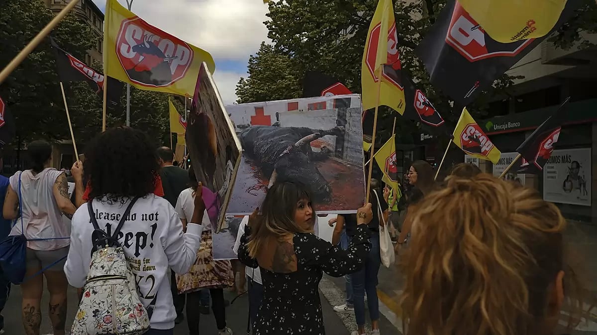 Spain Bullfight Protest