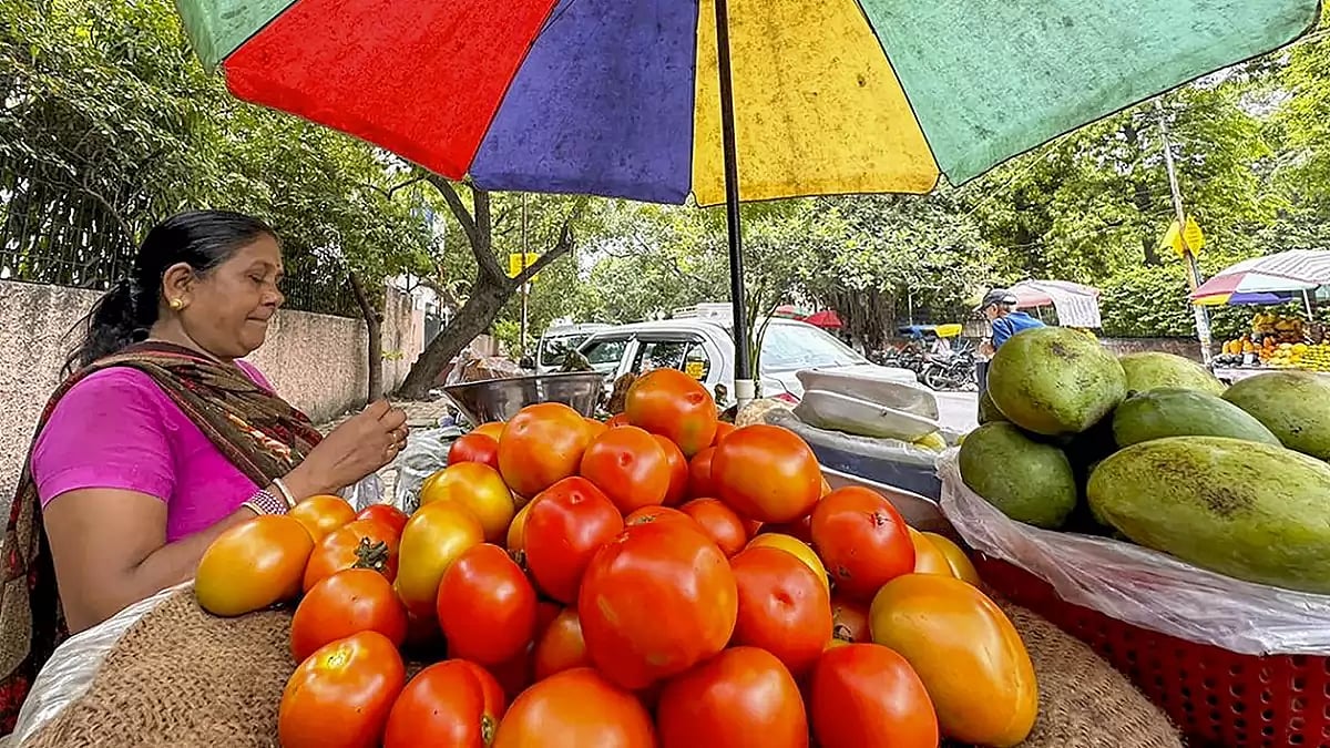 Tomatoes sale in Delhi