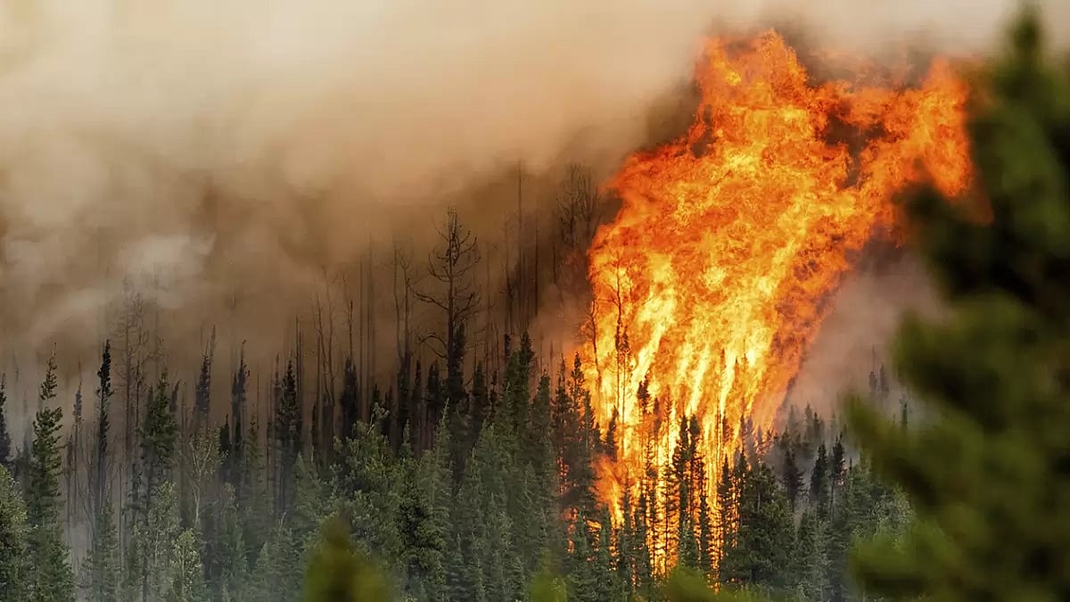 Canada wildfire 