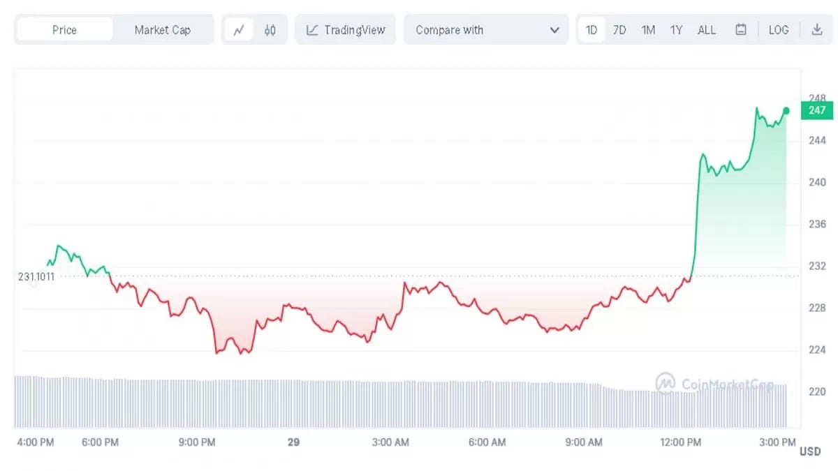 Bitcoin Cash Surge