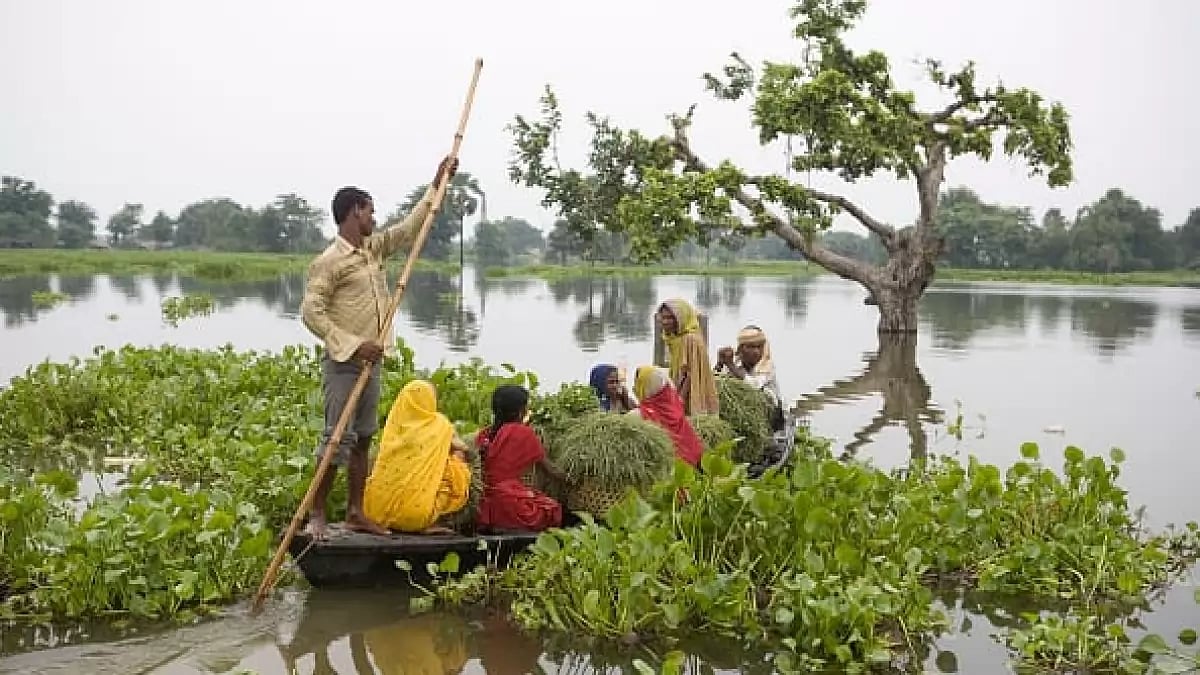 A boat provided by the government helps villagers from Baisha village carry fodder for their cattle 