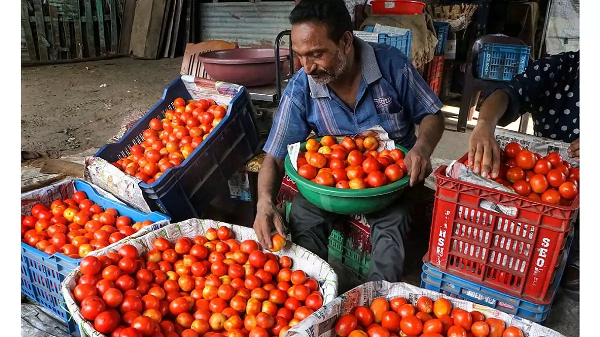 Tomato price rise in india