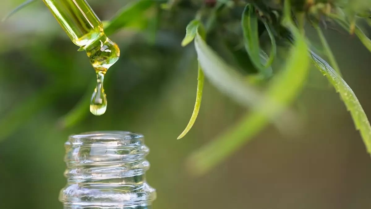 Die Besten CBD Öl