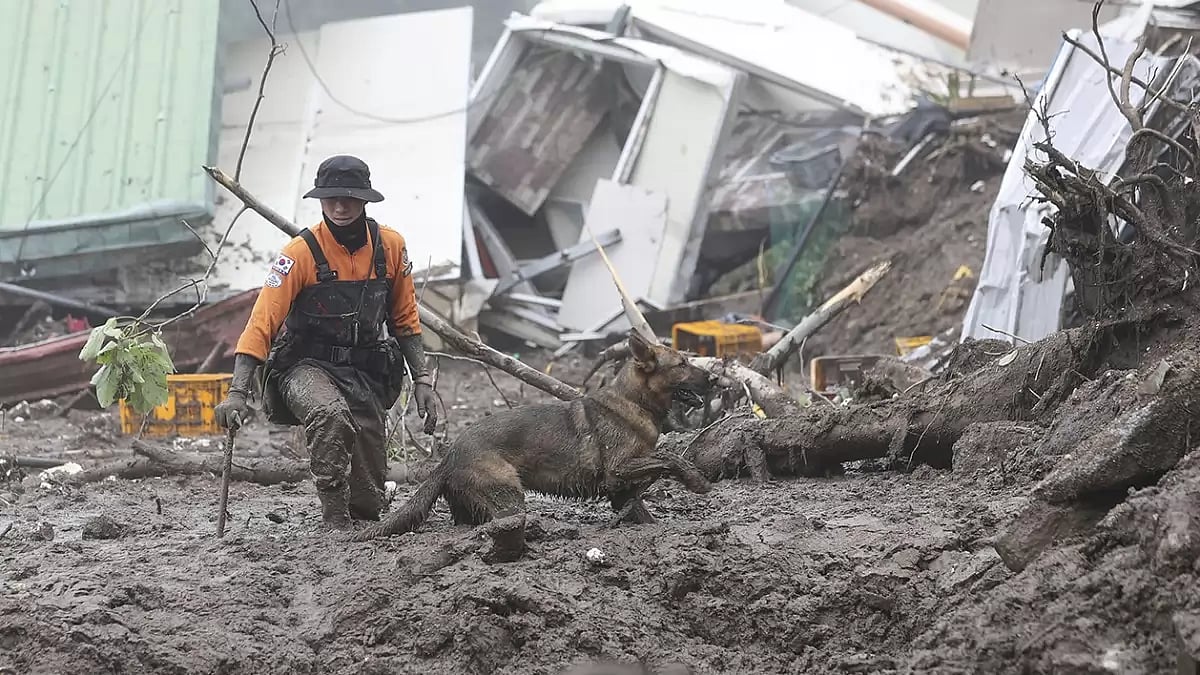 Rain-triggered landslide in South Korea