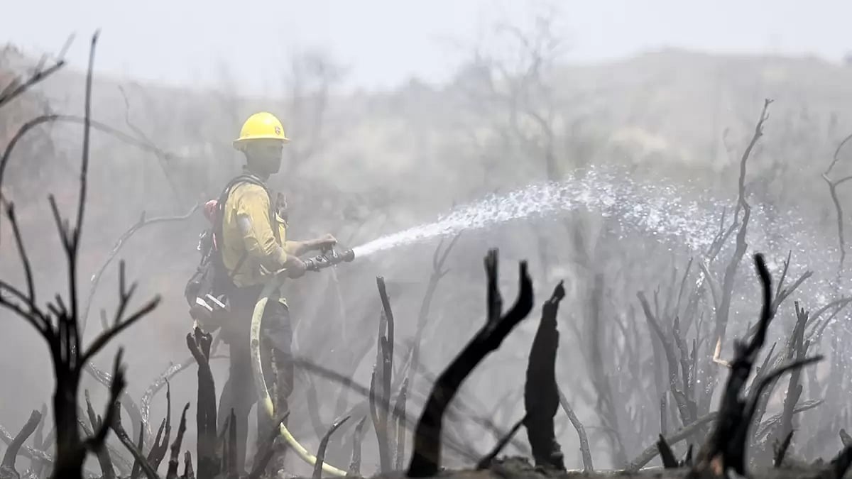 California Wildfires
