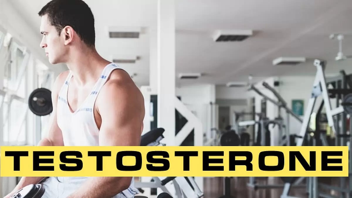 Testosterone Booster Supplements
