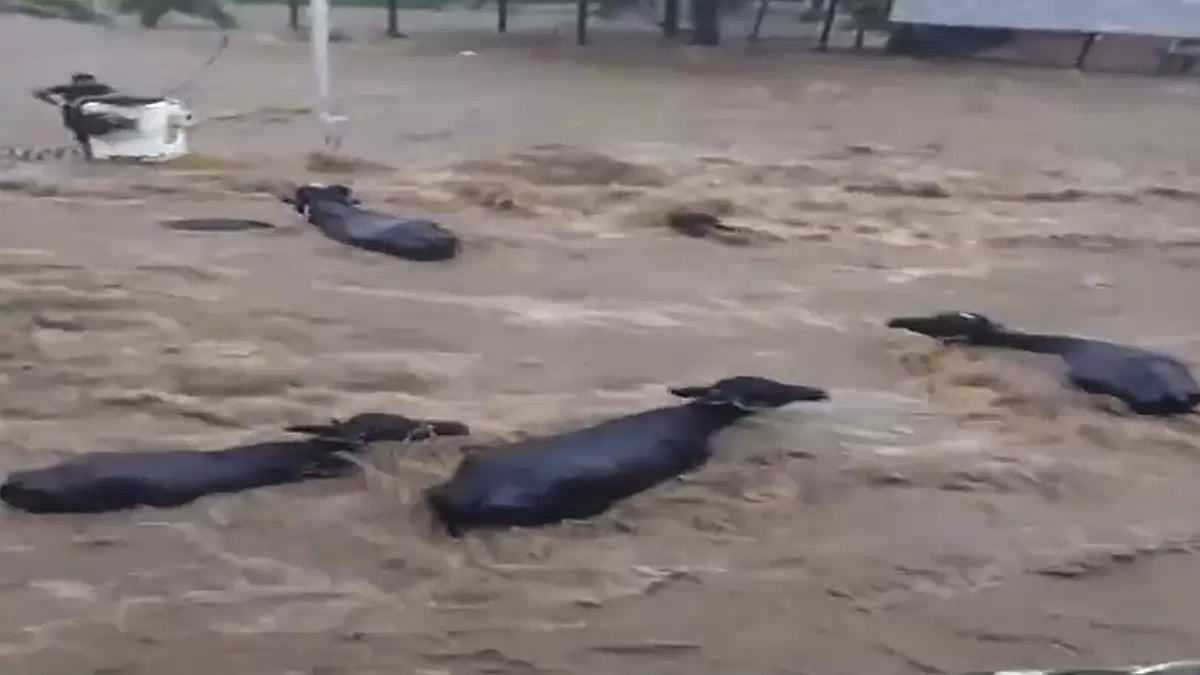 Heavy Monsoon rains in Gujarat