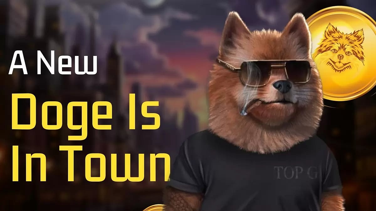 A New Dog Is In Town