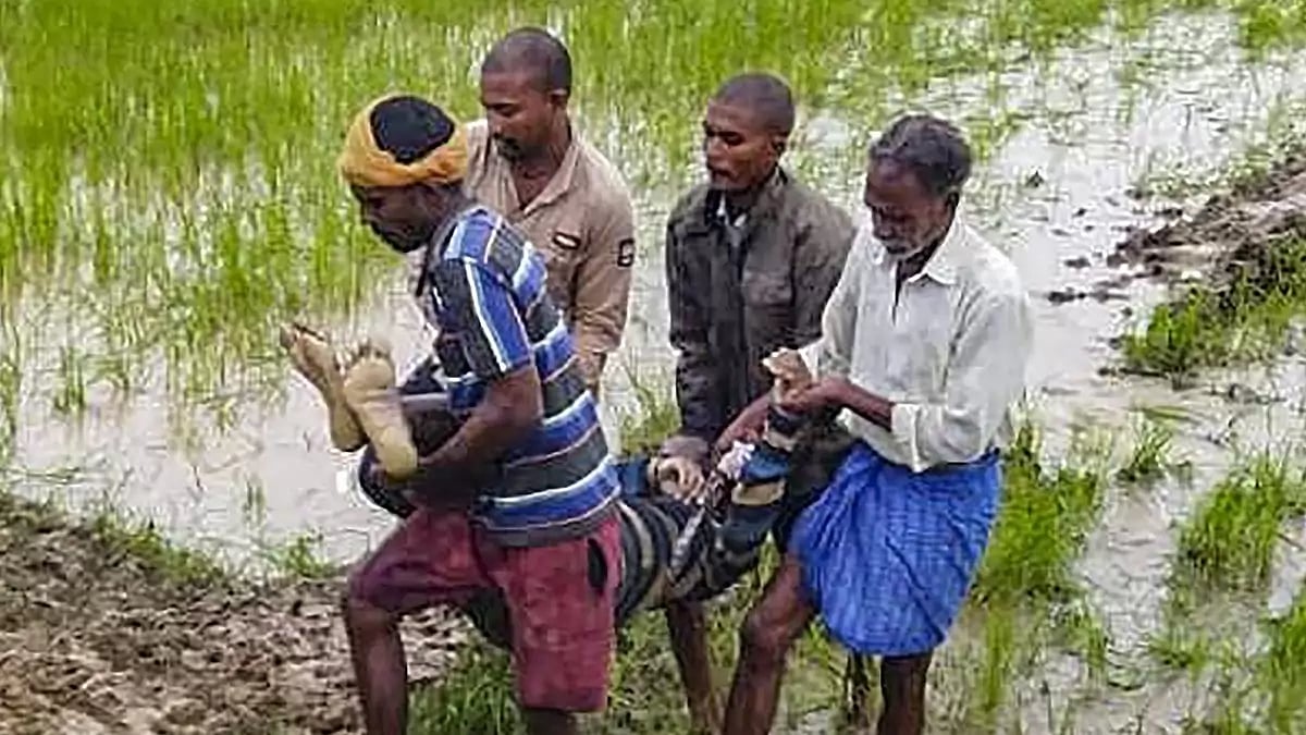 Telangana Rains