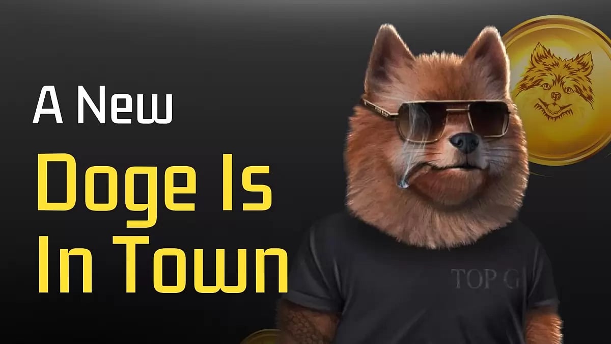 A New Dog Is In Town