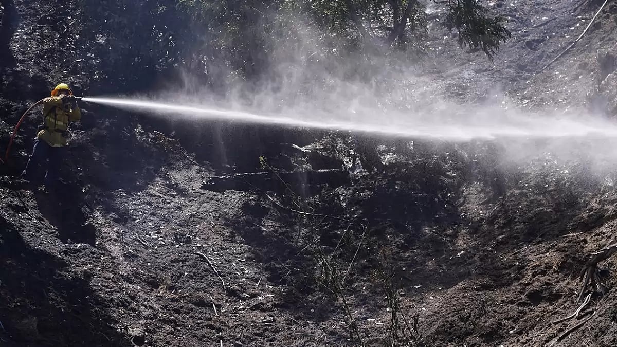 Hollywood Hills Brush Fire