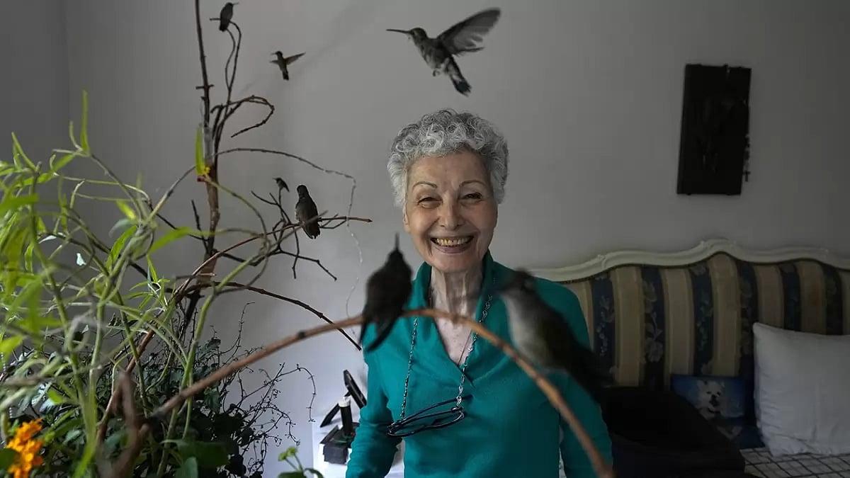 Mexico Hummingbird Clinic