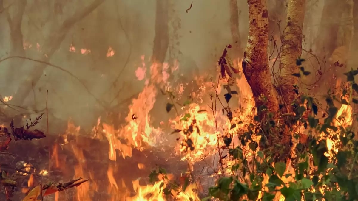 Wildfires sweep across Maui island in Hawaii 
