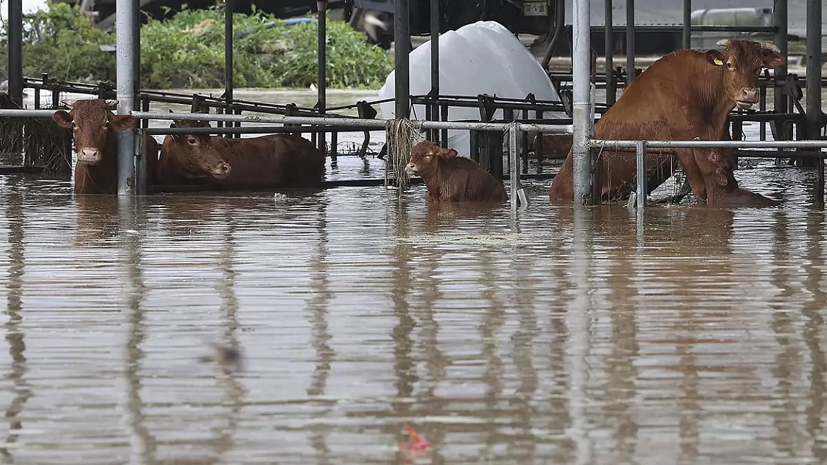 South Korea Khanun Storm