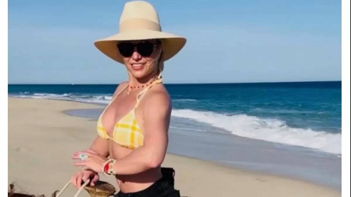 Britney Spears Makes 1st Social Media Post After Divorce News