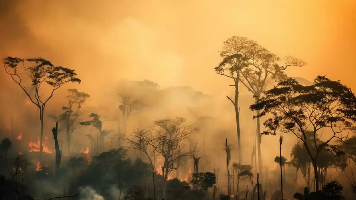 Wildfire engulfing a forest