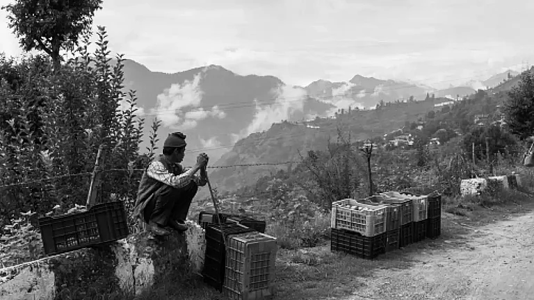 Photo: Apple Farmer ready to ship the apples in Sarahan, Himachal Pradesh (Credit: Getty Images) - null