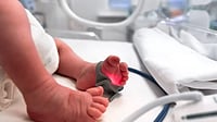 No Safe Delivery: Inside the UN's Record of Gaza's Maternal Health Crisis UN's Findings on Gaza's Newborns, Mothers and a Healthcare System in Ruins