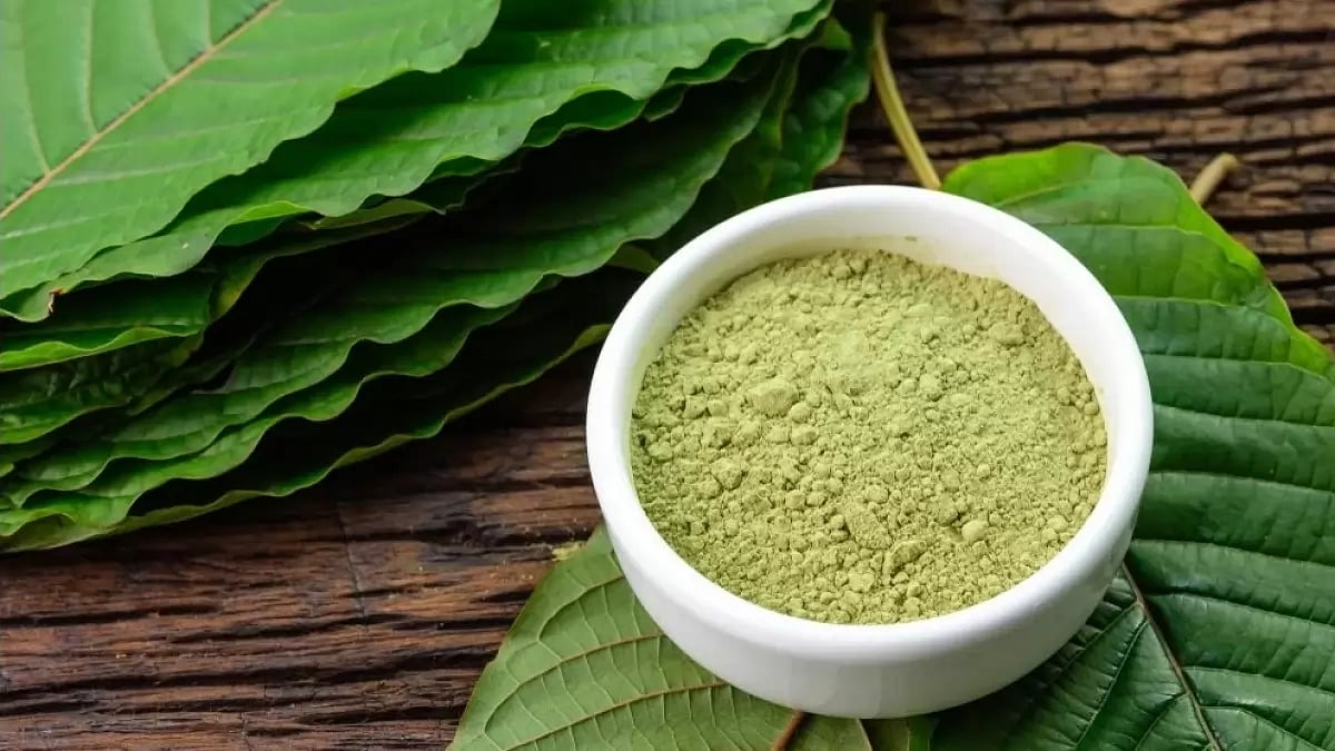 Buy Bulk Kratom Online