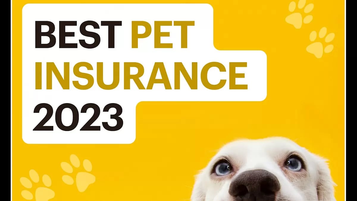 Best Pet Insurance