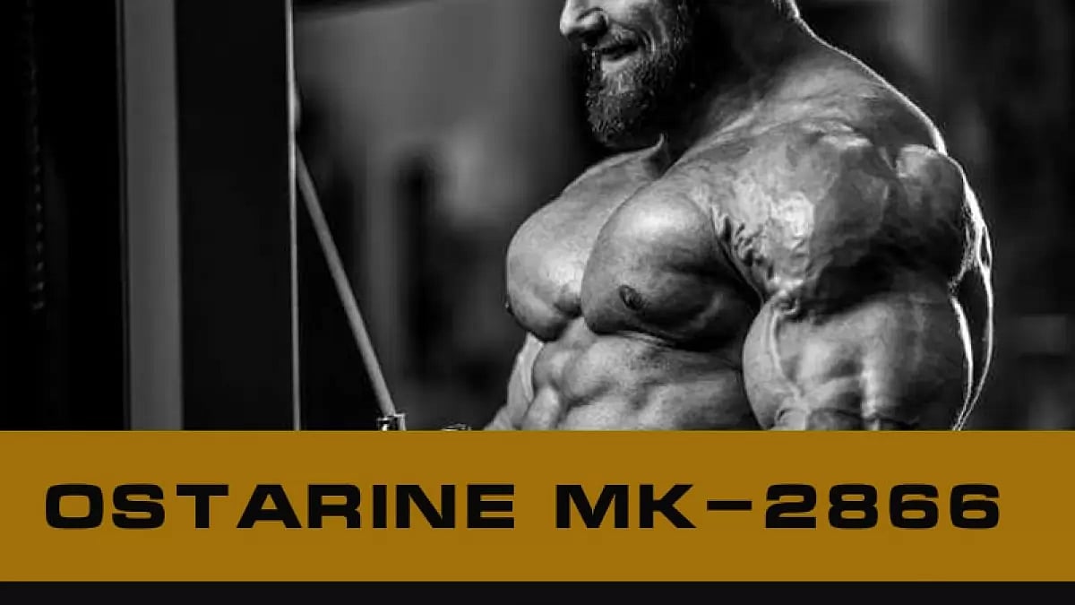 Ostarine MK-2866