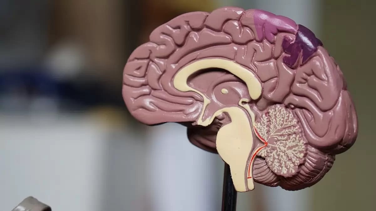 File Photo; Representative image : These proteins are known to clump together and form plaques, a characteristic seen in Alzheimer’s disease. 