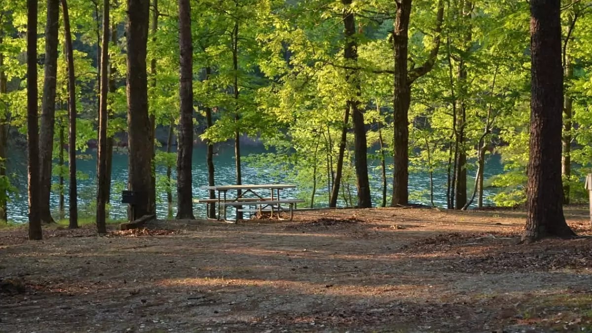  Georgia’s Lake Lanier is now known for its mysterious increase in death toll with every passing yea