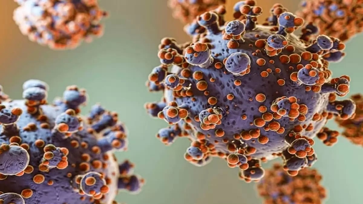 COVID Virus image