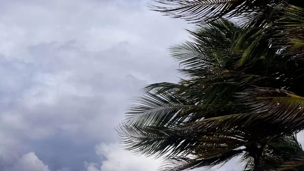 Storm Representational Image