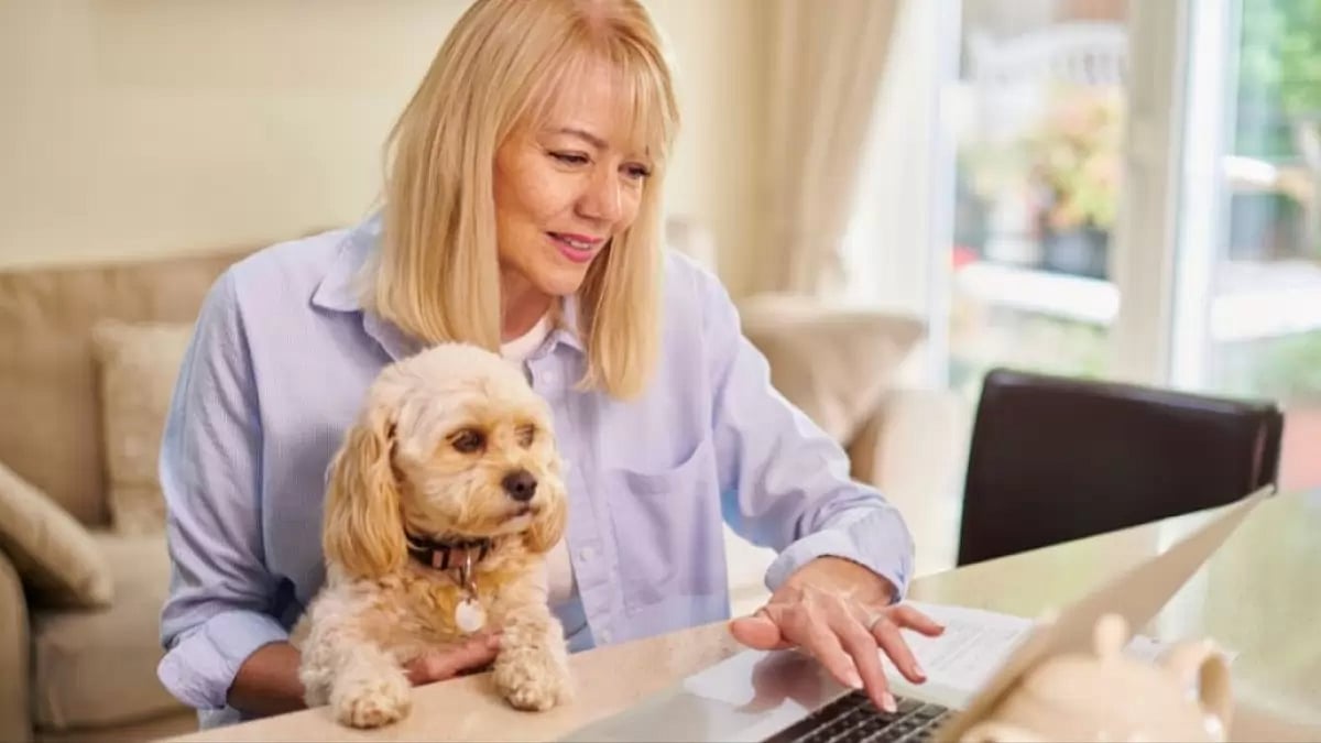 Pet insurance in US