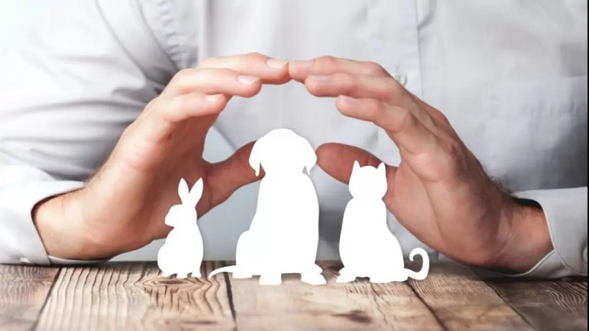  Pet care tips  
