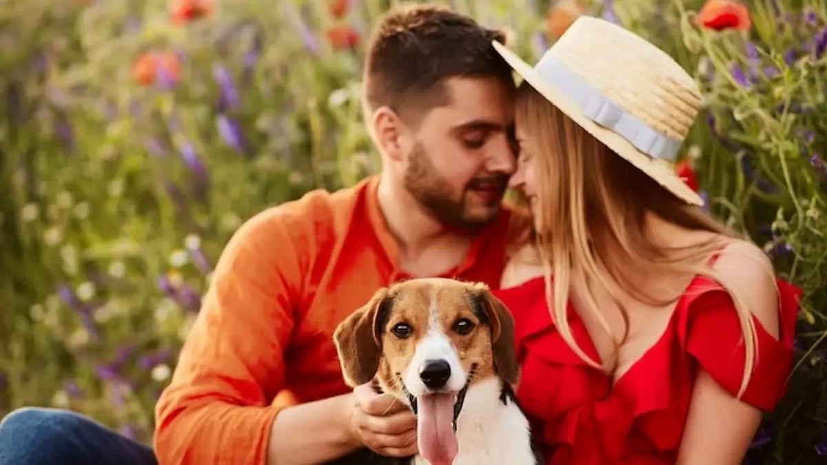  Pets and Relationships (Representational Image)