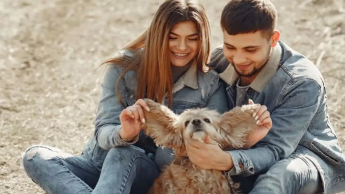 Choosing the Right Pet for Your Relationship