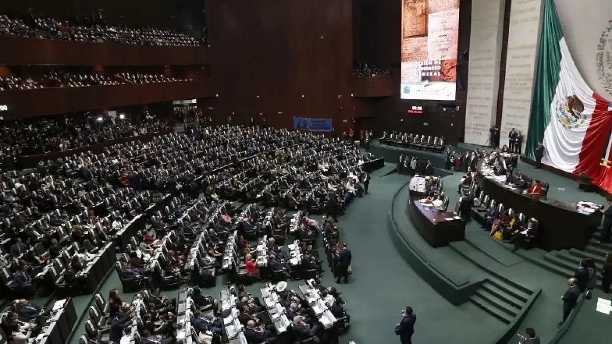 Experts from Mexico, the United States, Japan and Brazil gathered before the Mexican Congress 
