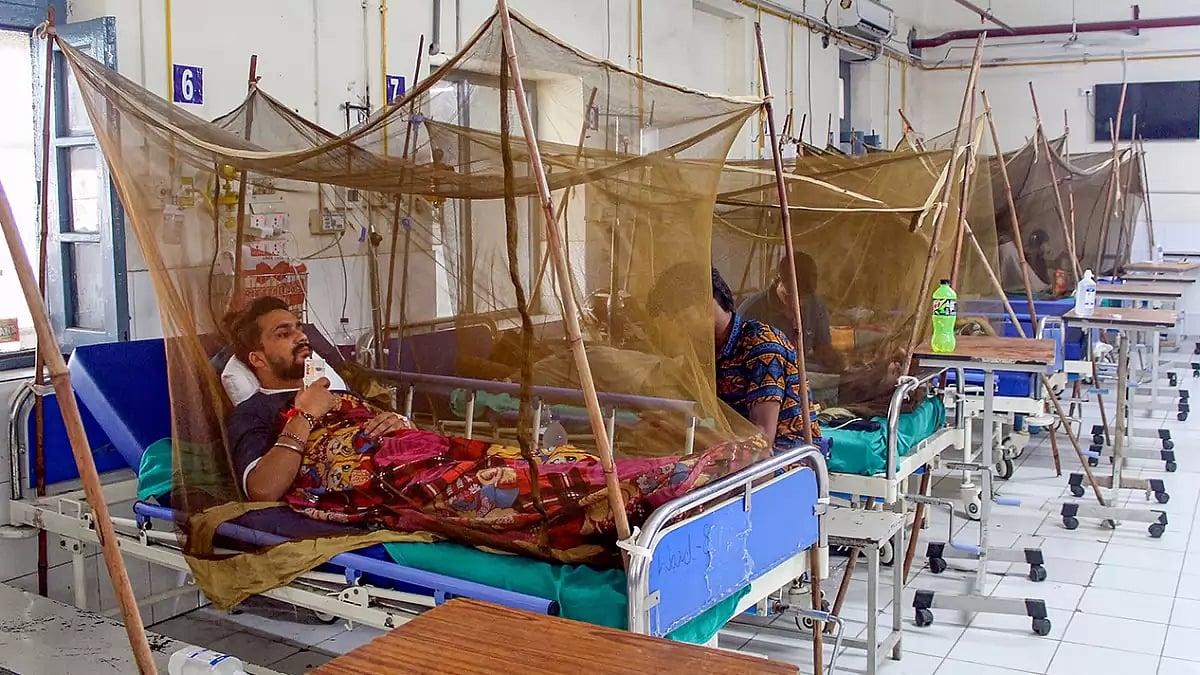 Rise in dengue cases in Jharkhand (Representational Image)