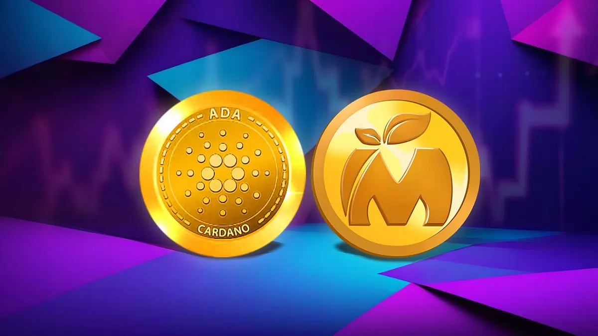 Cardano (ADA) Price Future At The Crossroads: New Coin Sells Fast