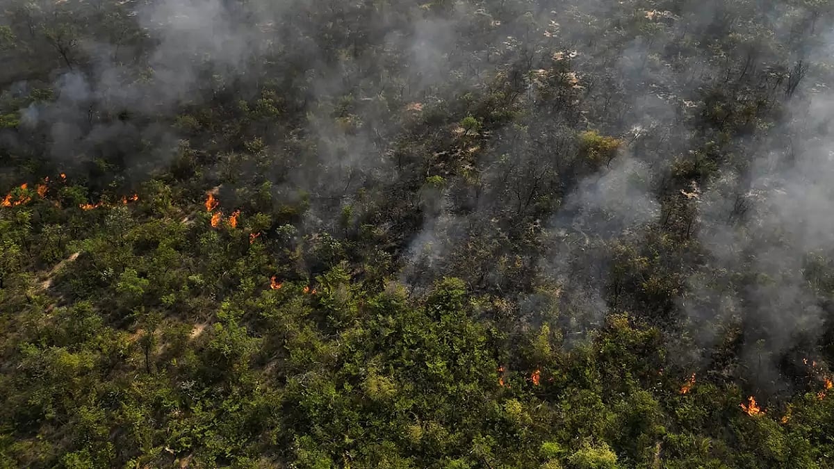 Brazil Forest Fire