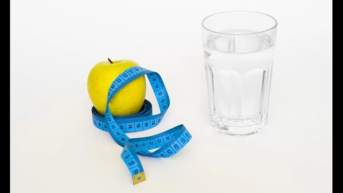 Best Fat Burners