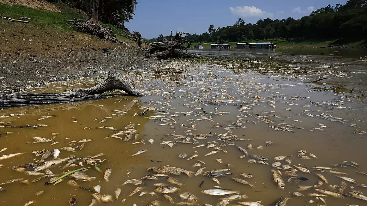 Brazil Amazon Drought