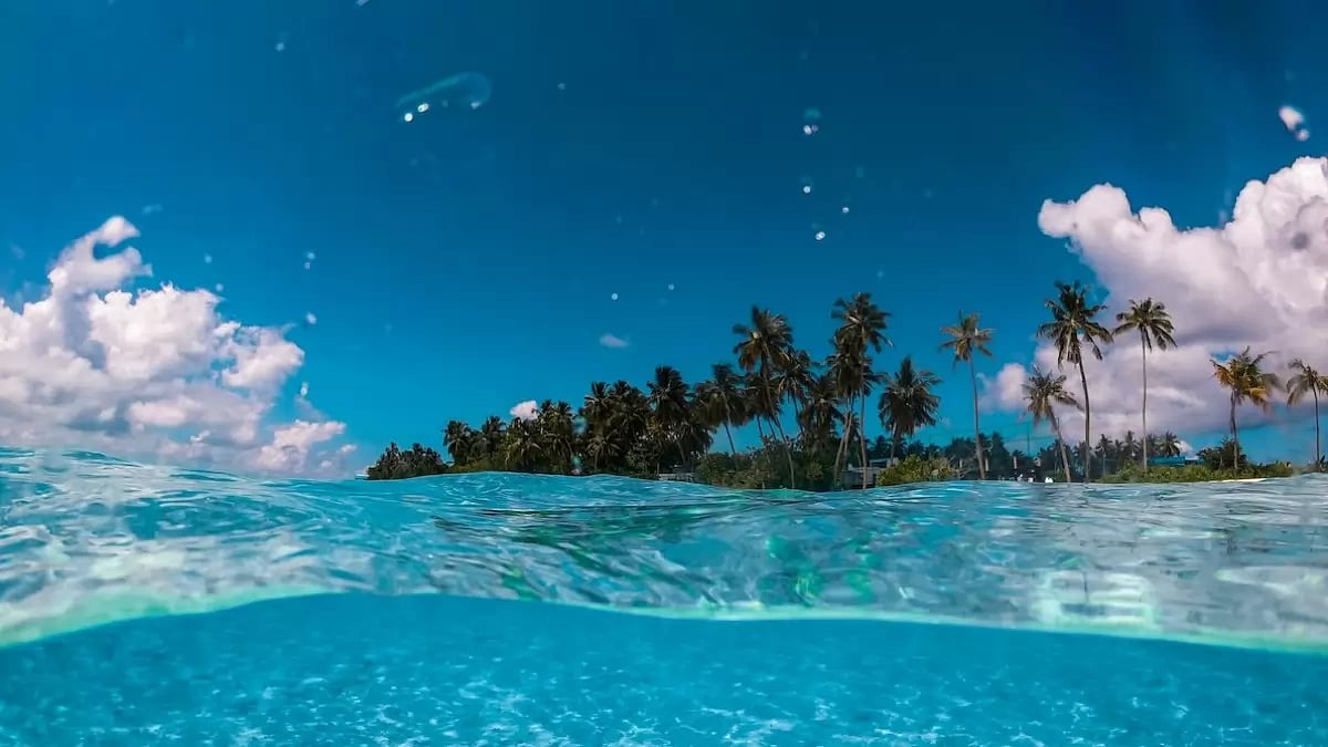 Cook Islands Trust: The Best Asset Protection From Creditors & Lawsuits