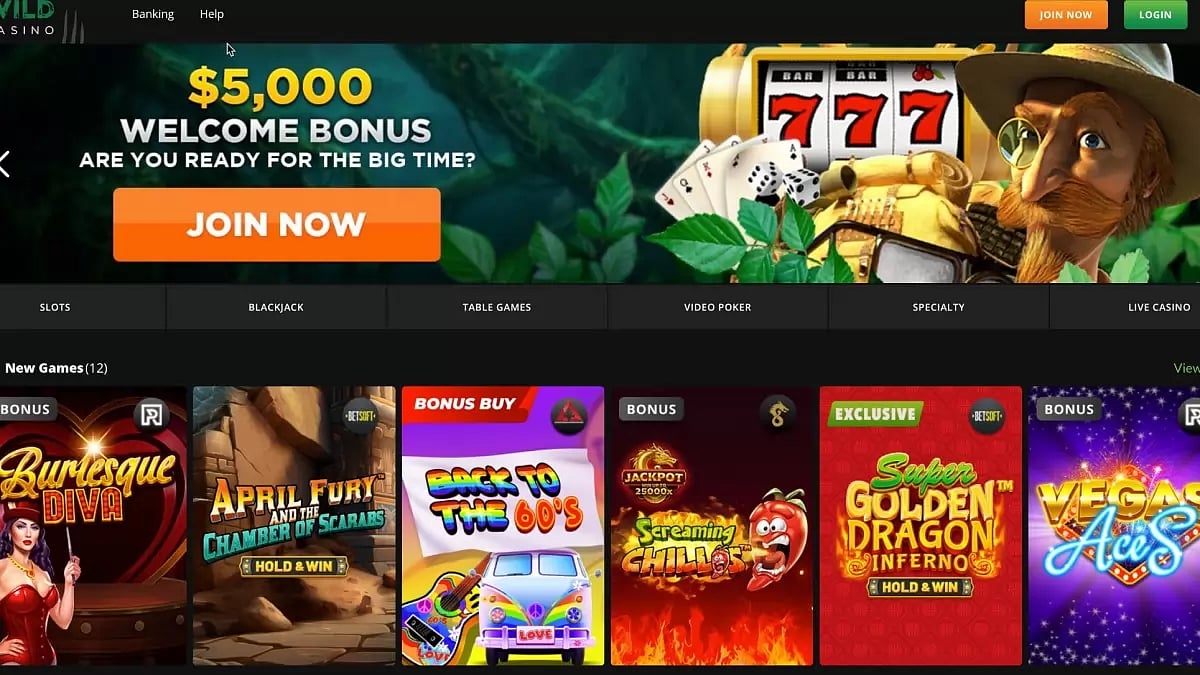Wild Casino