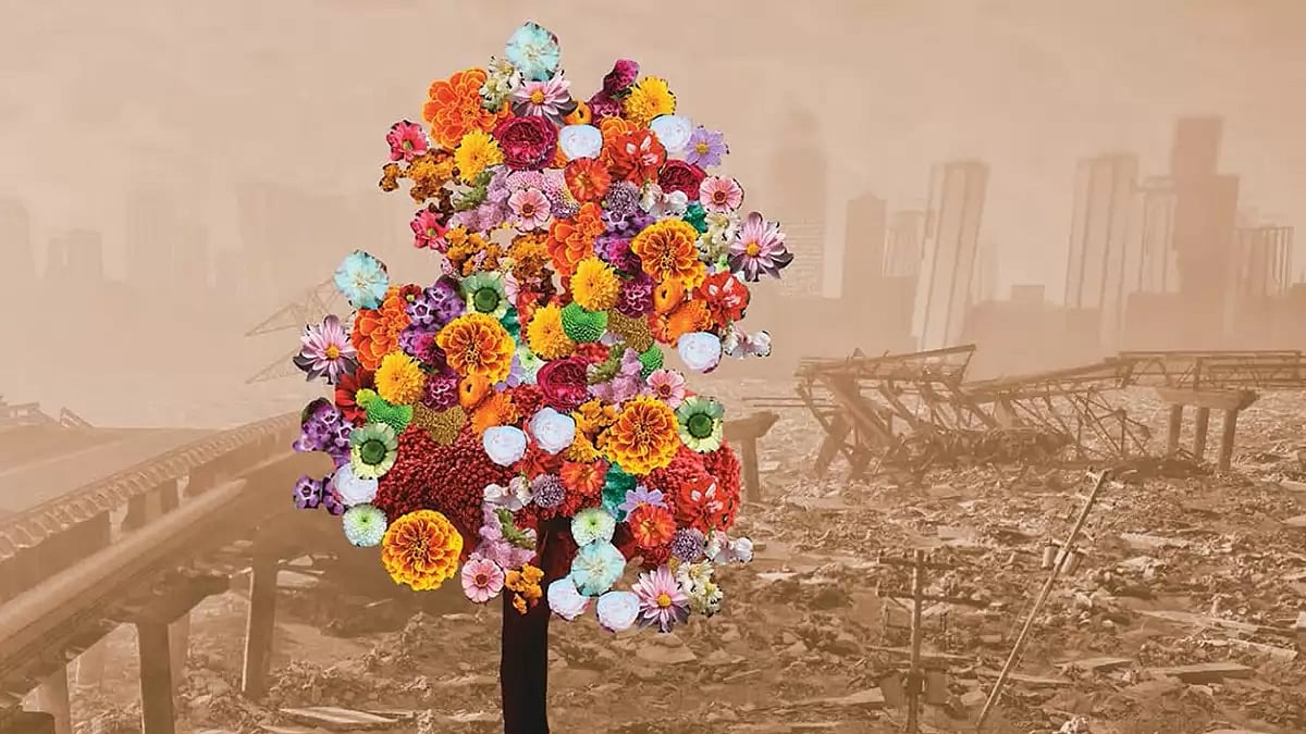 The Blooming Paradise Of The Ancient City