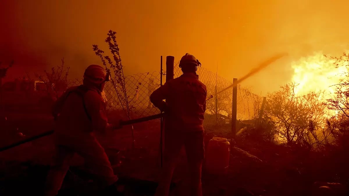 Maui Wildfires
