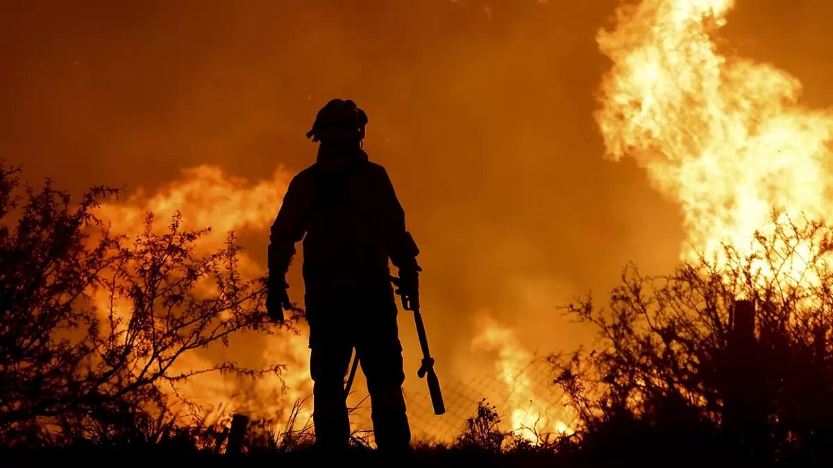 Wildfires