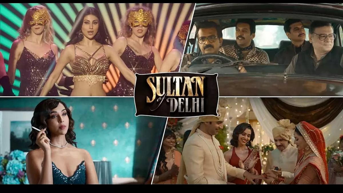 sultan of delhi