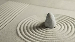 Mini zen garden