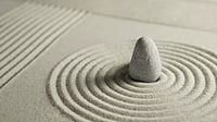 Mini zen garden 